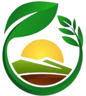 রংপল্লী সংস্থা